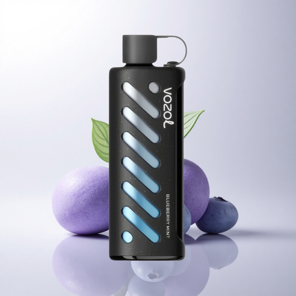 VOZOL Gear Shisha 25000 Puffs نعناع بلوبيري مع رقاقة ذكية ونظام ثنائي
