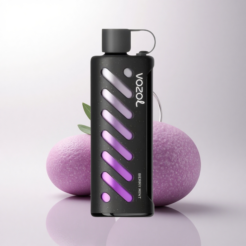 VOZOL Gear Shisha 25000 Puffs نعناع التوت مع شريحة ذكية ونظام مزدوج