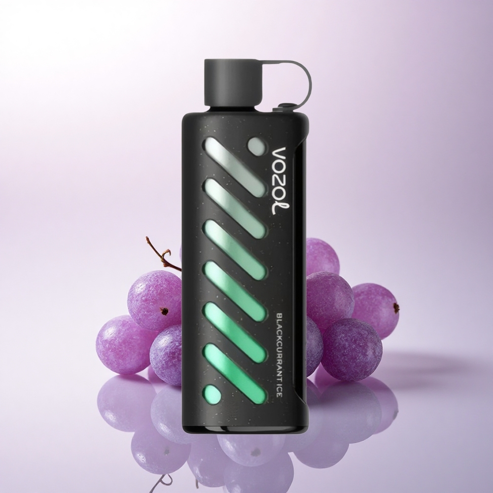 VOZOL Gear Shisha 25000 Puffs عصير الكشمش الأسود المثلج بتقنية S.i.L.C و 1000mAh