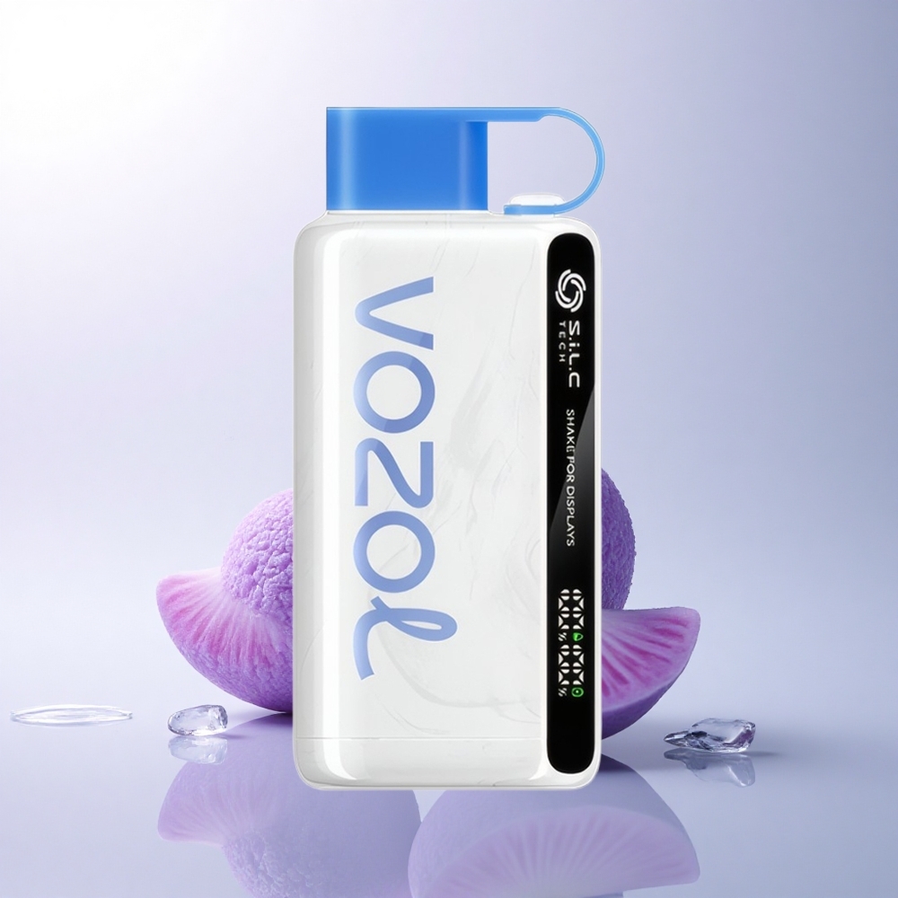VOZOL STAR 9000/12000 Puffs أزرق توت الجليد مع شاشة هزّاز وشحن سريع