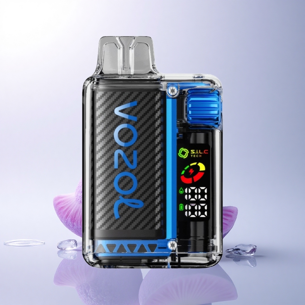 VOZOL Vista 20000 Puffs الجليد الأزرق التوت مع شاشة أوليد وتقنية المزدوج شبكة